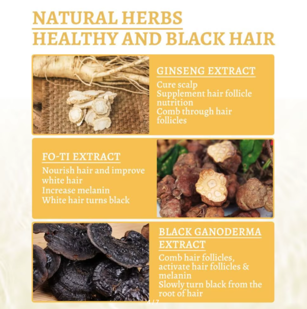 Anti-greying Hair Serum Black Ganoderma Lucidum  Black Hair Solutions High Quality & Glass Bottle - Image 2