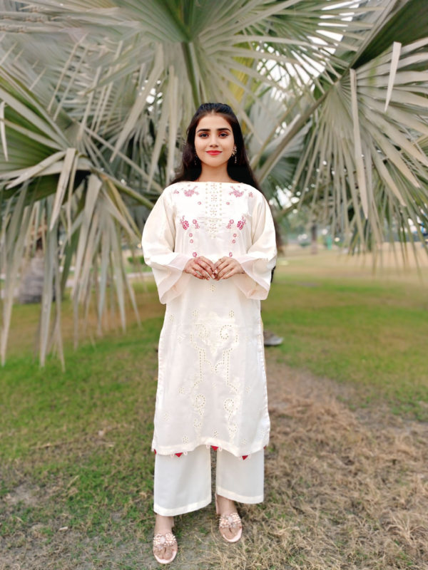2 piece Cotton Lawn Embroidered, stitched suites